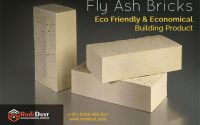 Bly Ash Bricks