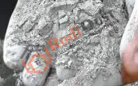 Cement Price in Delhi, and Gurgaon